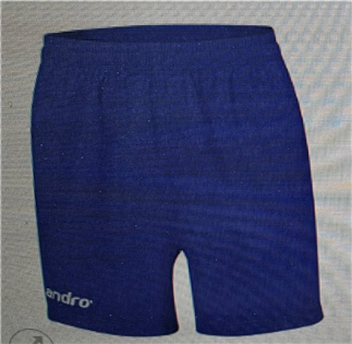 Andro歐系高品質進口桌球短褲(淺藍)